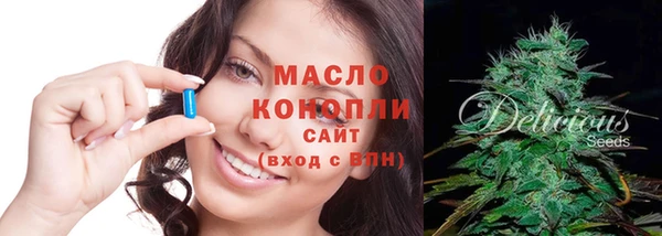 индика Армянск