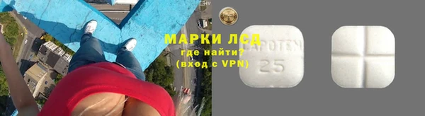 ГАЛЛЮЦИНОГЕННЫЕ ГРИБЫ Аркадак