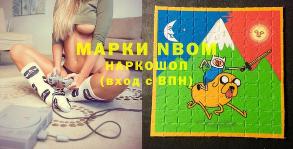 индика Армянск